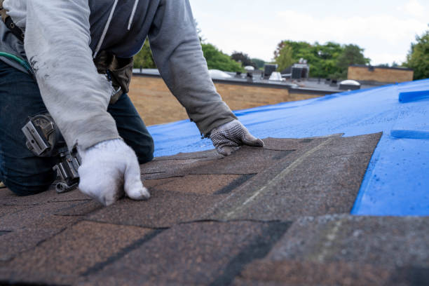 Best Commercial Roofing Services  in Rockwood, MI